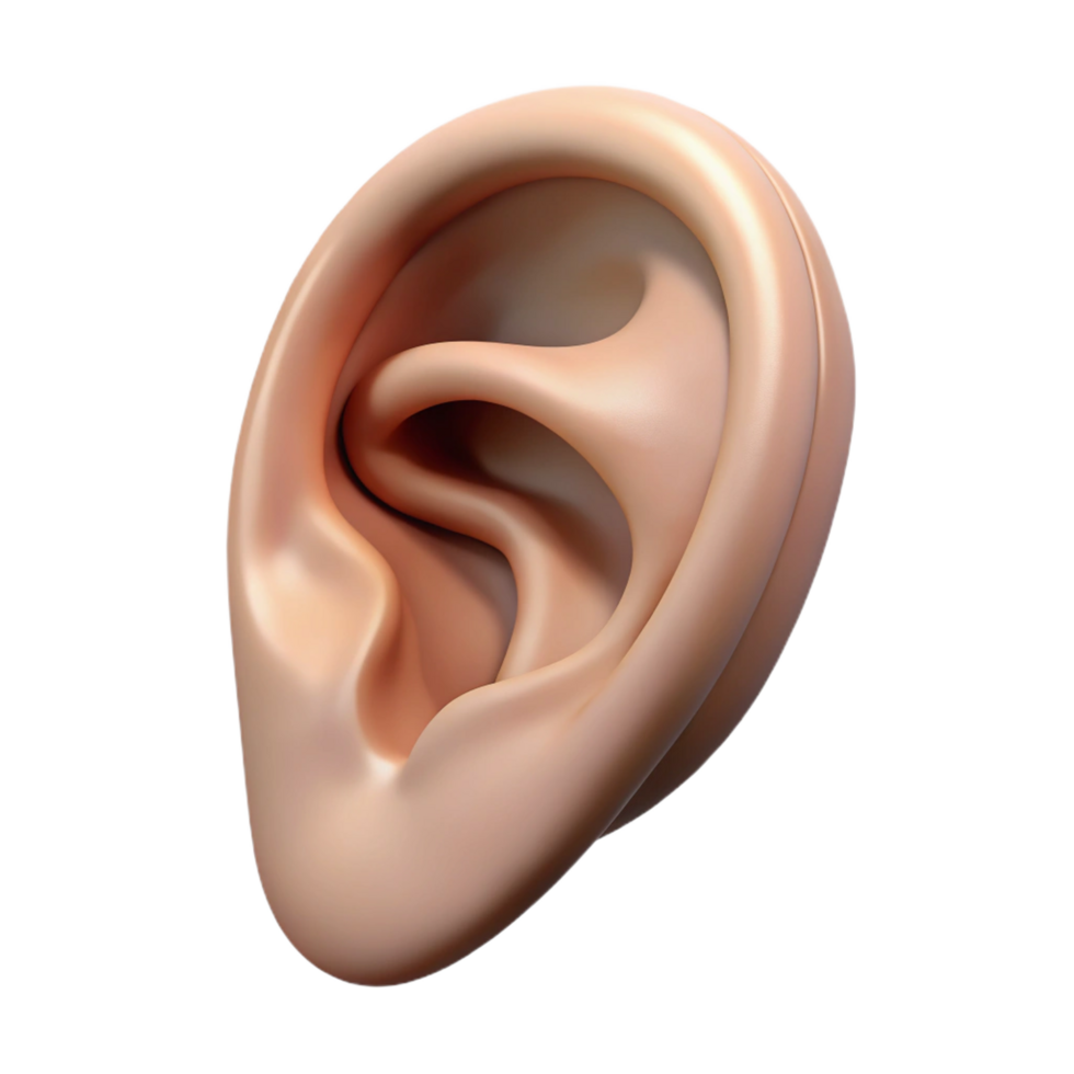 dramatic bohemian A realistic rendering of a single human ear with pointed tip, NO BACKGROUND with Transparent Background. elite png