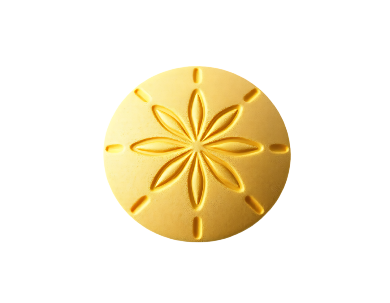 Closeup of a golden sand dollar with intricate floral patterns png