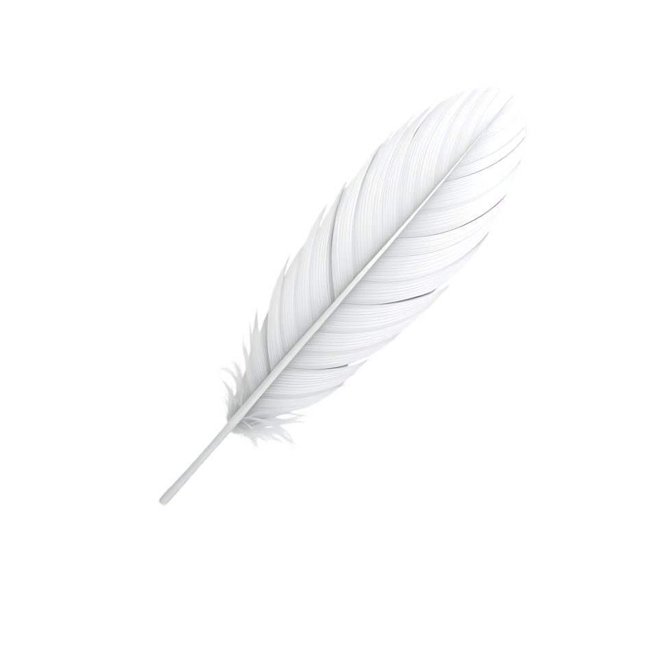 Elegant White Feather Isolated on Transparent Background png