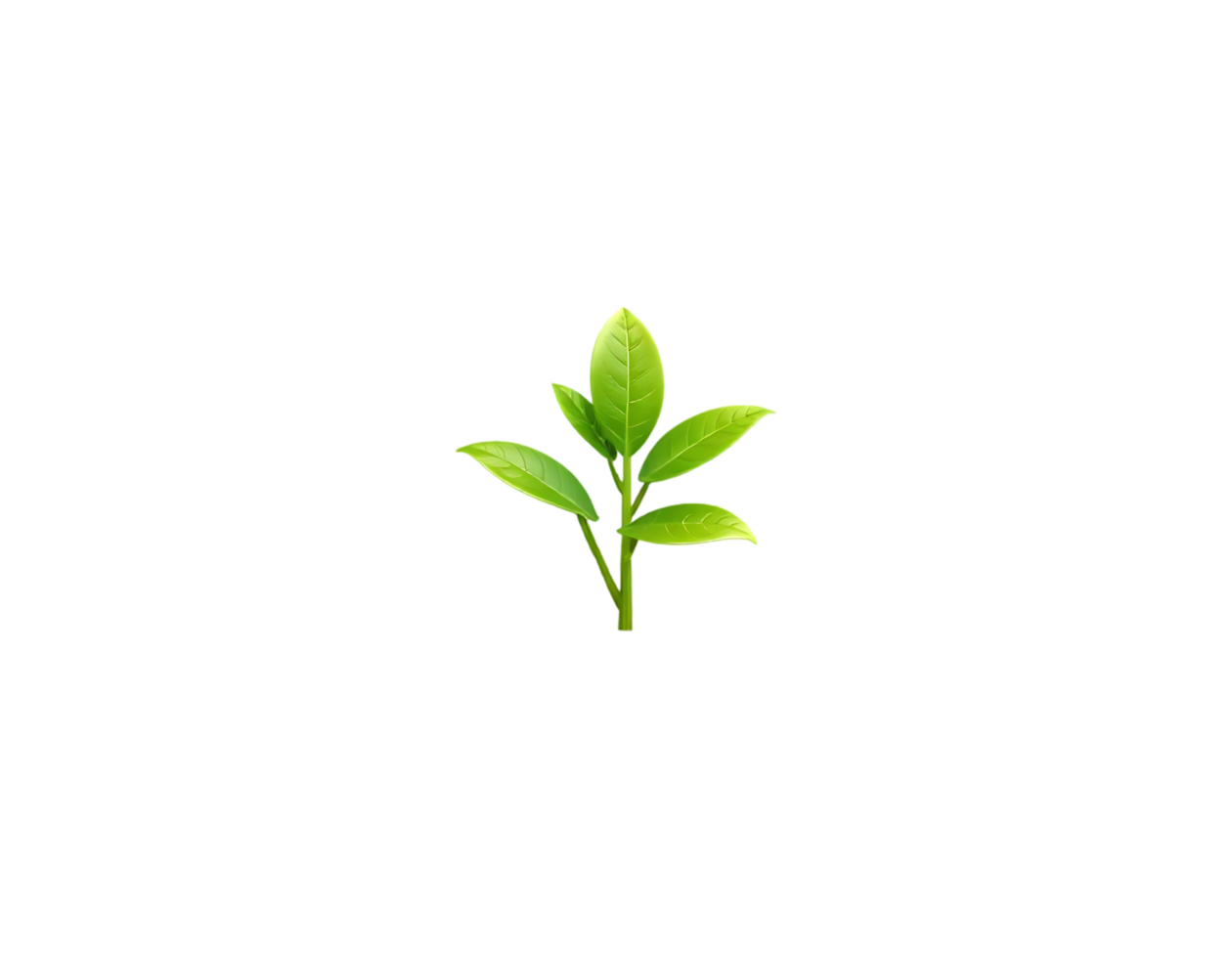 Green leaf plant on a transparent background png