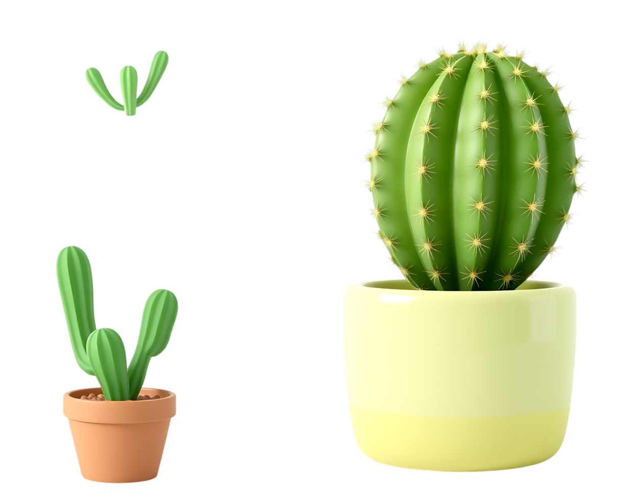 Cactus plants in pots png