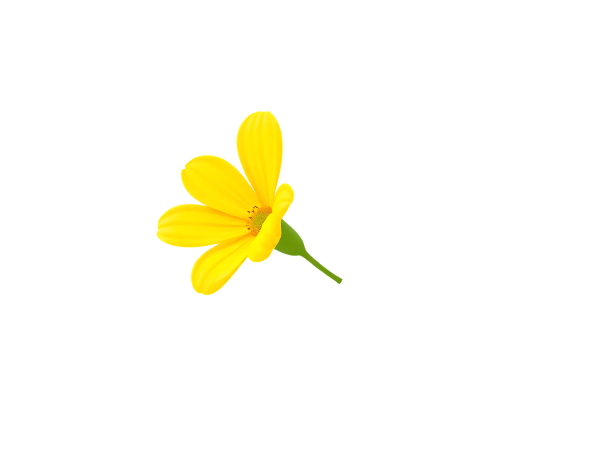 Close-up of a vibrant yellow flower isolated against a transparent background png