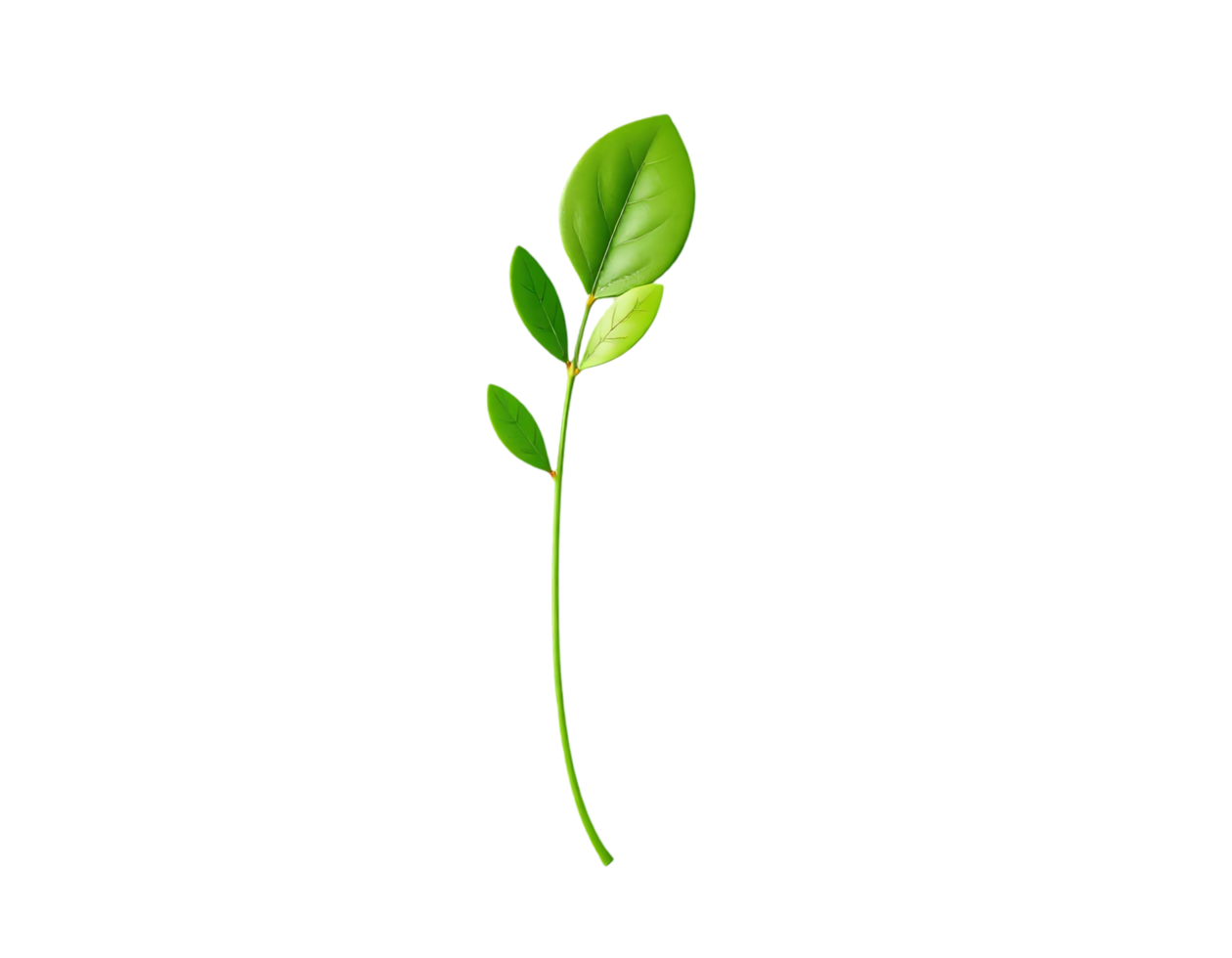 Single branch with green leaves on transparent background png