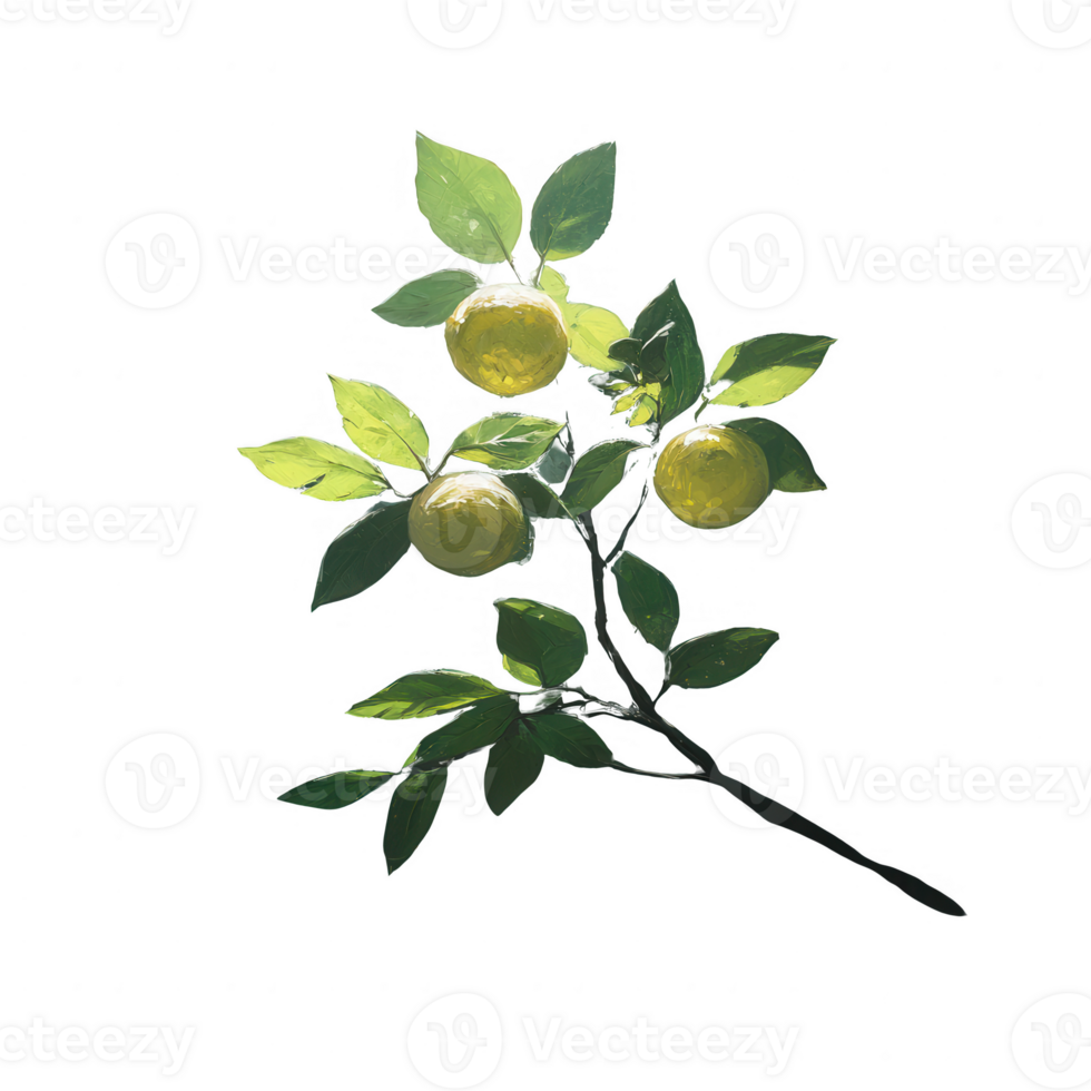 Lush green branch with bright yellow citrus fruits, showcasing nature's beauty against a clean white background. png
