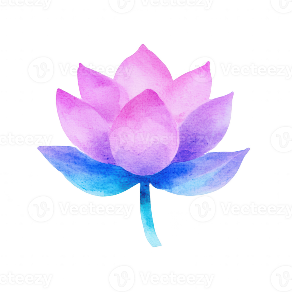 A beautiful, watercolor illustration of a pink and blue lotus flower, showcasing delicate petals and a serene appearance, perfect for nature-themed designs. png