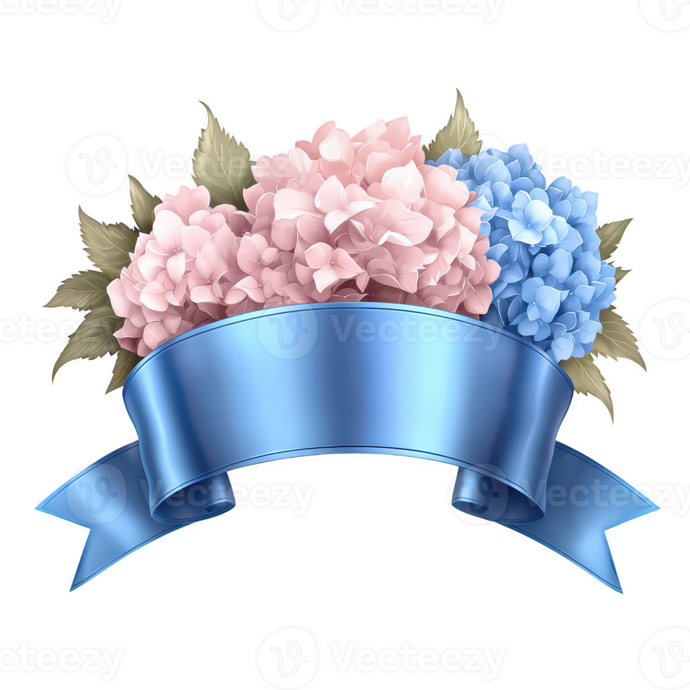 A beautiful arrangement of pink and blue hydrangeas with green leaves, accented by a soft blue ribbon, perfect for design or decoration purposes. png