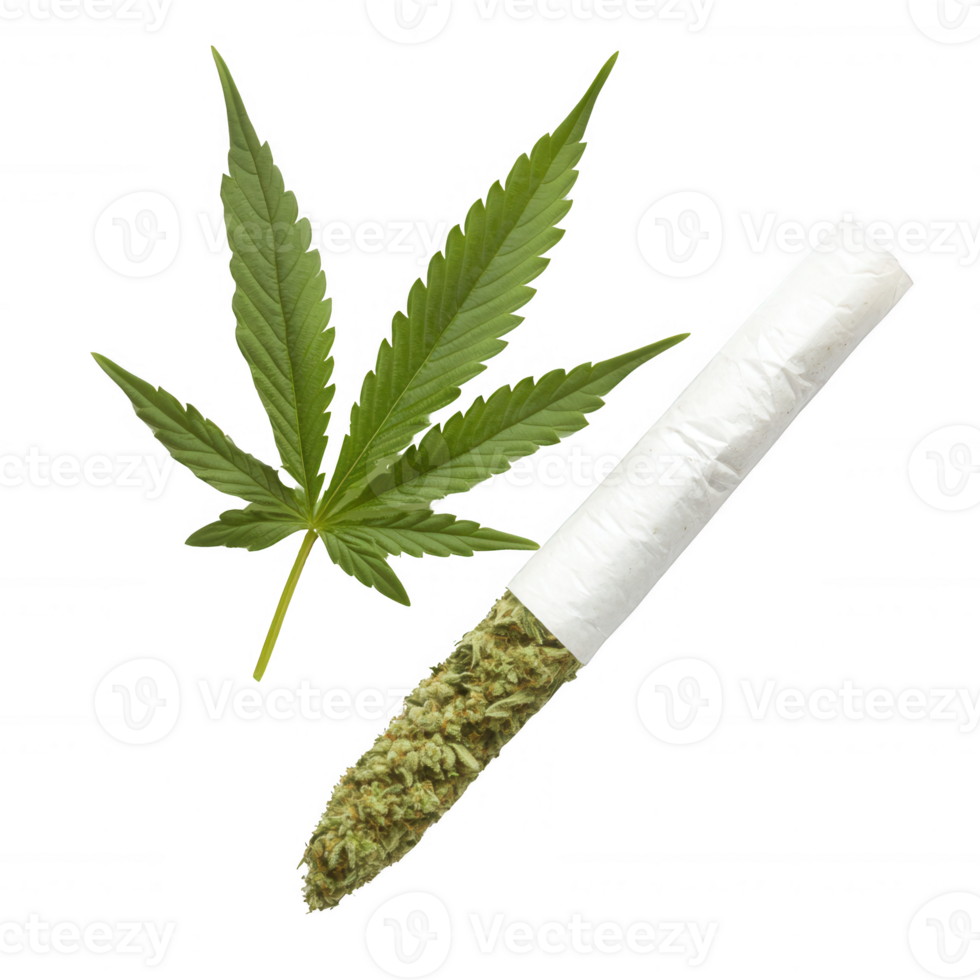 A cannabis joint alongside a vibrant green leaf, isolated on a white background, symbolizing the culture of cannabis use and its various applications in society. png