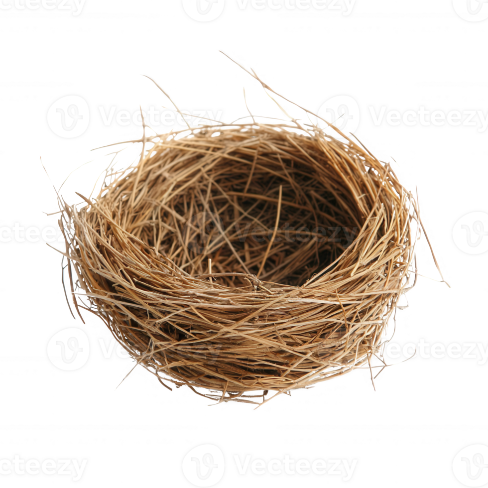 A natural bird's nest made of twigs and grass, showcasing organic textures and colors, isolated on a white background. Perfect for nature-themed projects and illustrations. png
