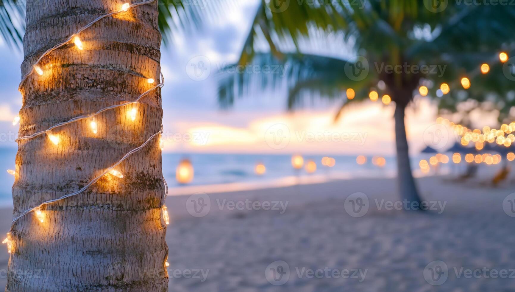 A palm tree with lights on it at the beach photo