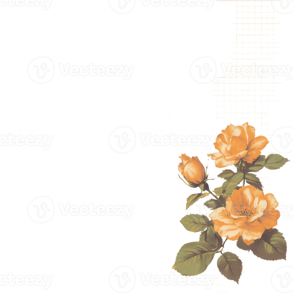 An elegant design featuring orange roses with lush green leaves against a textured background, perfect for creating a warm and inviting atmosphere. png