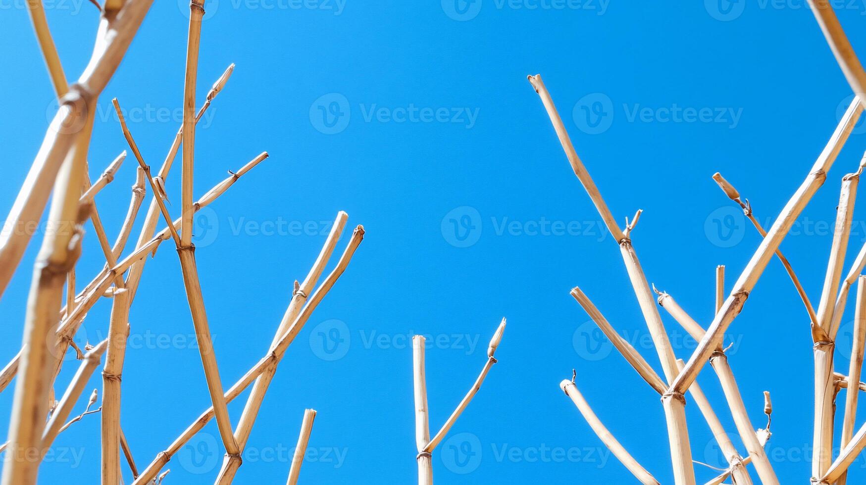 A blue sky with a bird flying in the air photo