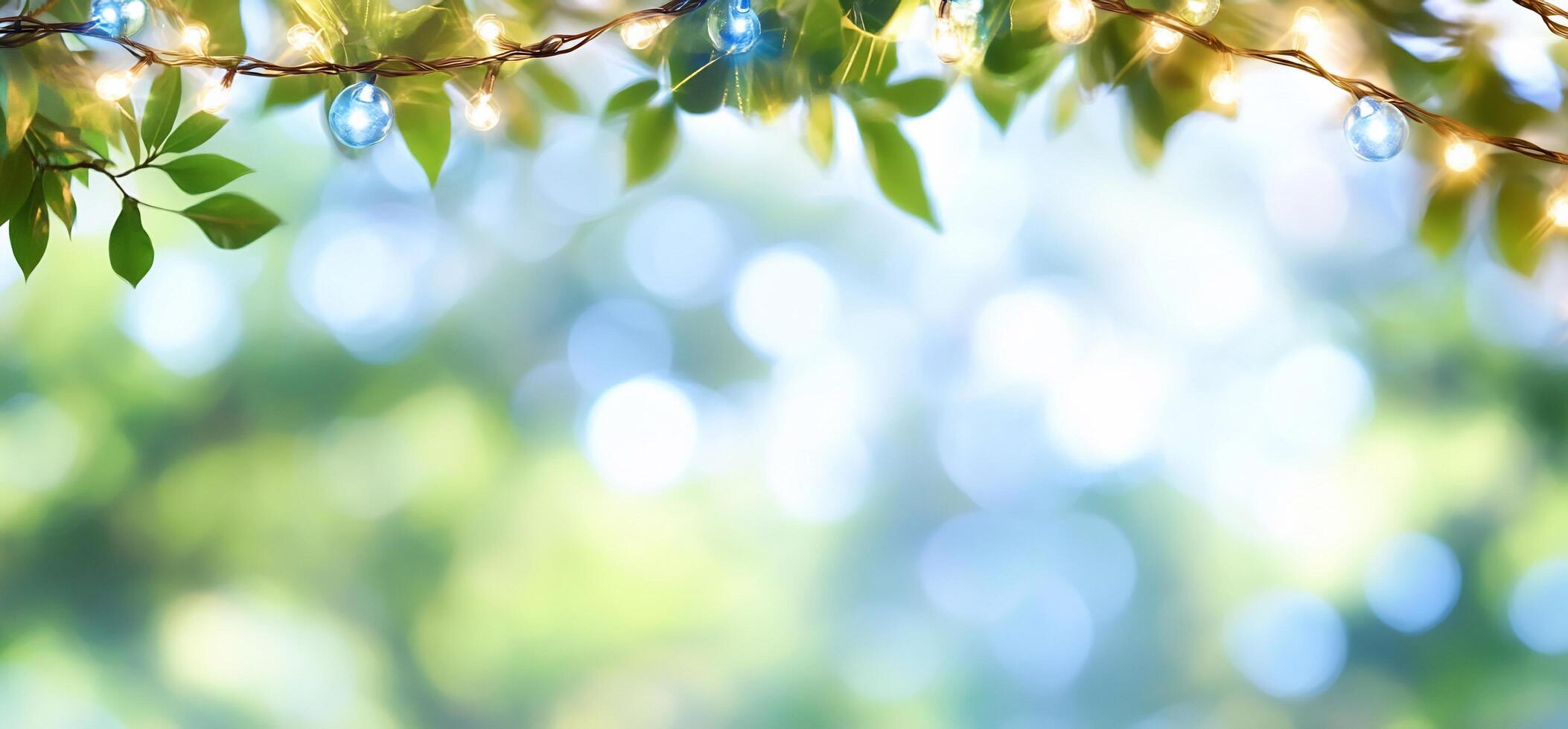 A green background with lights and leaves photo