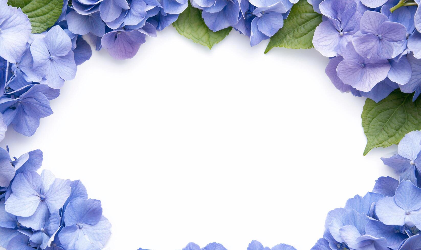 Blue hydrangea flowers are arranged in a circle photo