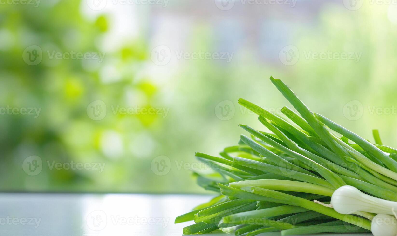 A bunch of green onions sitting on a table photo