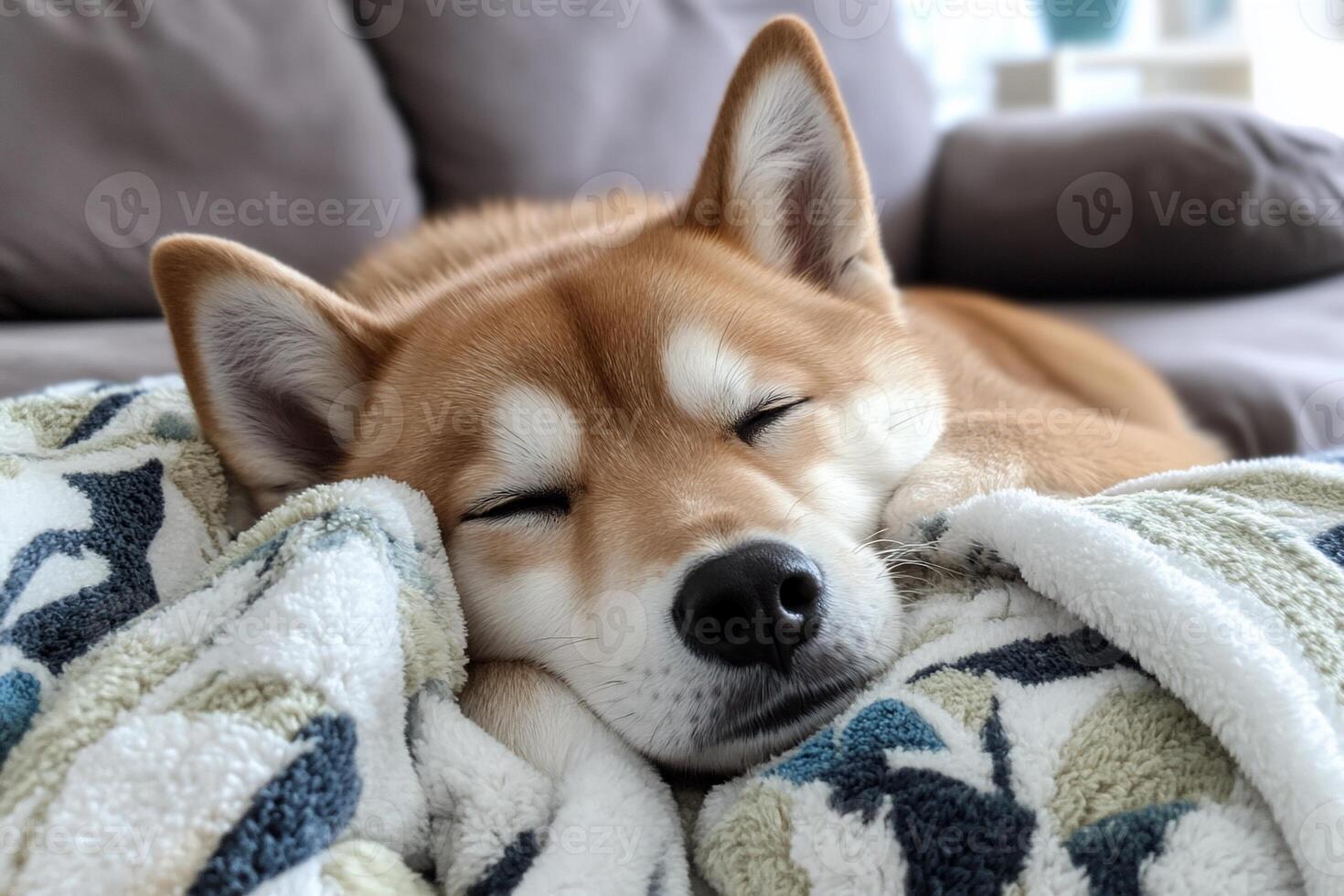 A dog sleeping on a blanket on a couch photo
