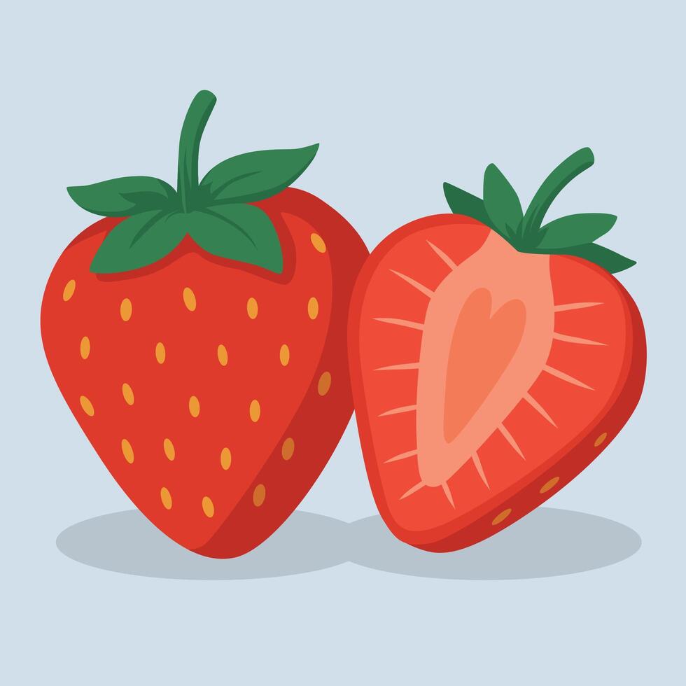 Strawberry Fruit Flat Illustration with Slice vector