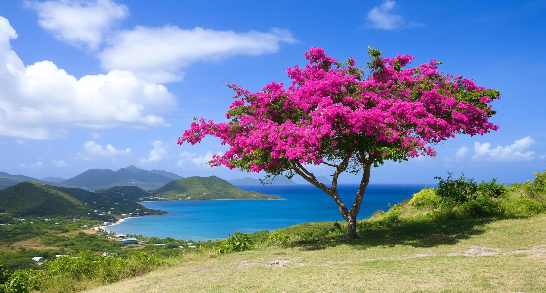 A vibrant tree with pink flowers overlooking a serene beach and mountains. photo