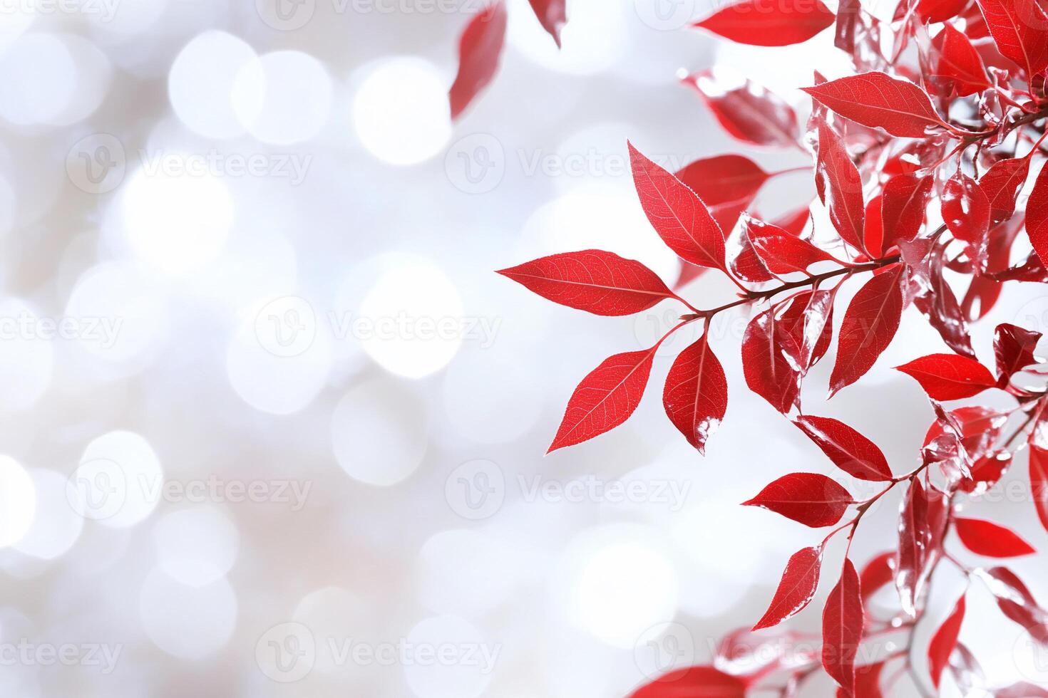 Red leaves on a tree branch with a bright background photo