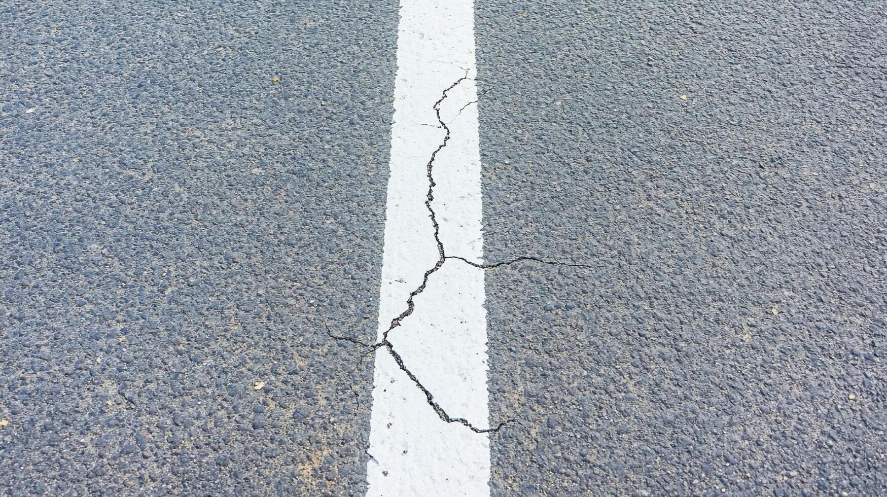 A cracked white line on a dark asphalt road surface. photo