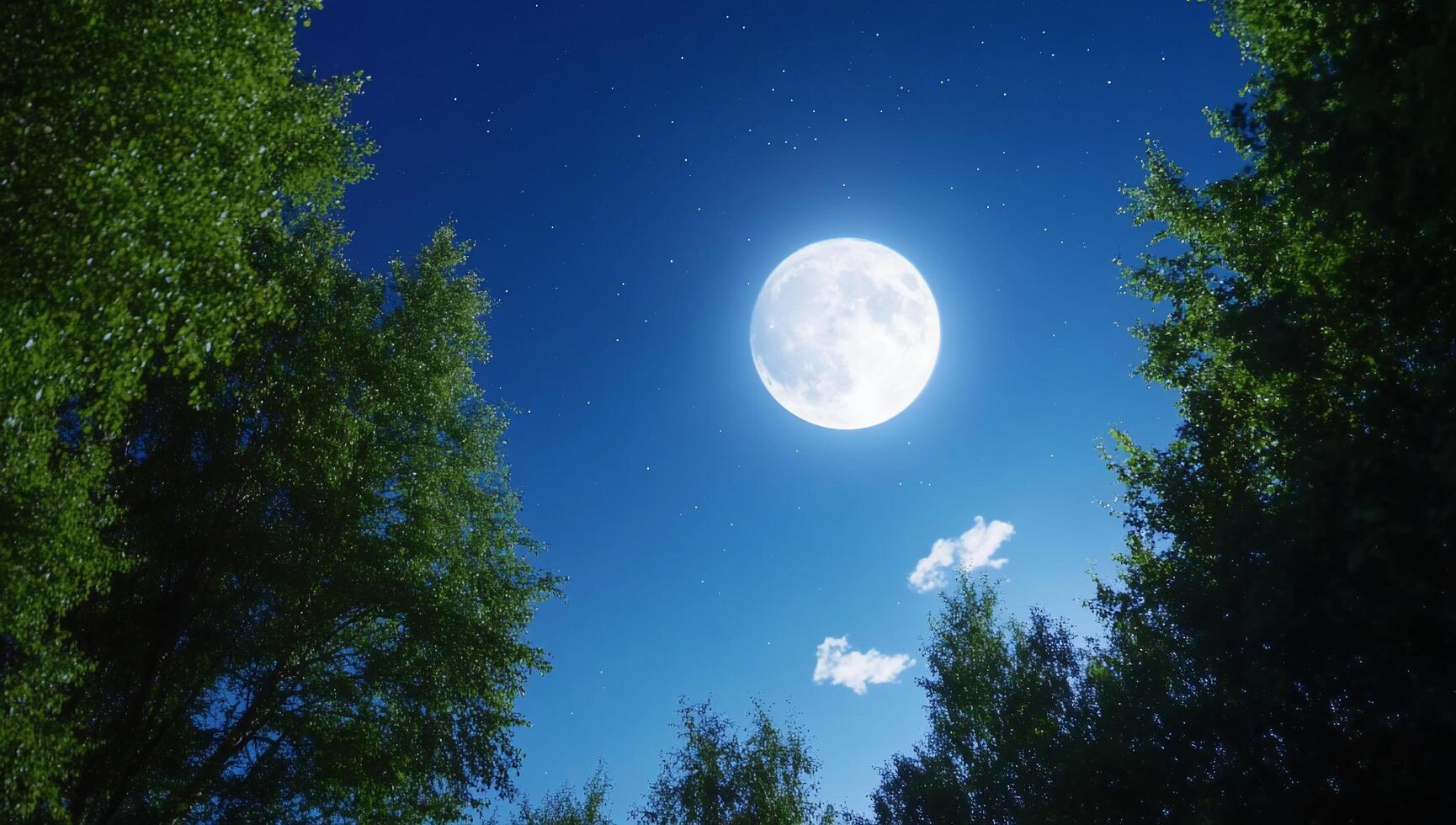 A serene night sky with a bright moon surrounded by trees. photo