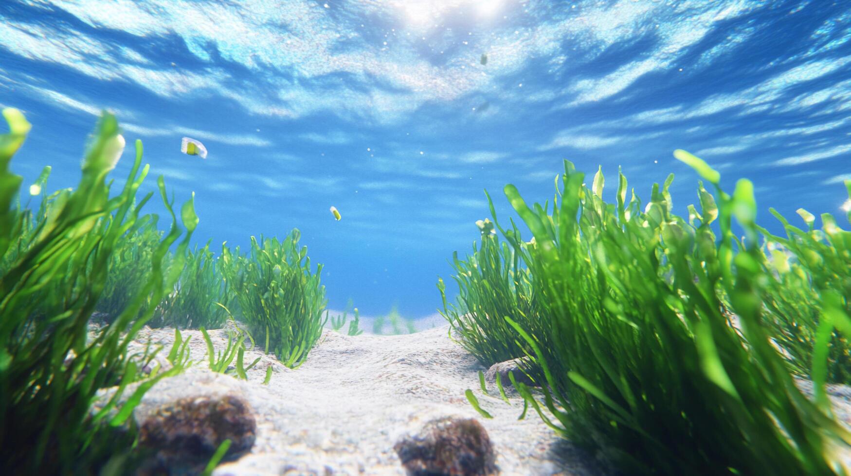 Underwater scene showcasing vibrant aquatic plants and sunlight. photo