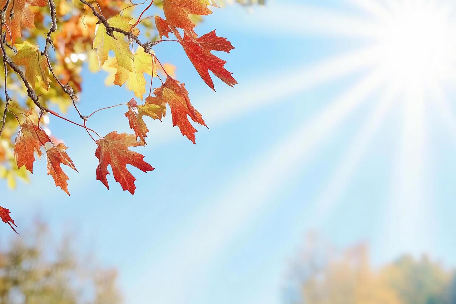 Bright autumn leaves against a clear blue sky with sunlight. photo