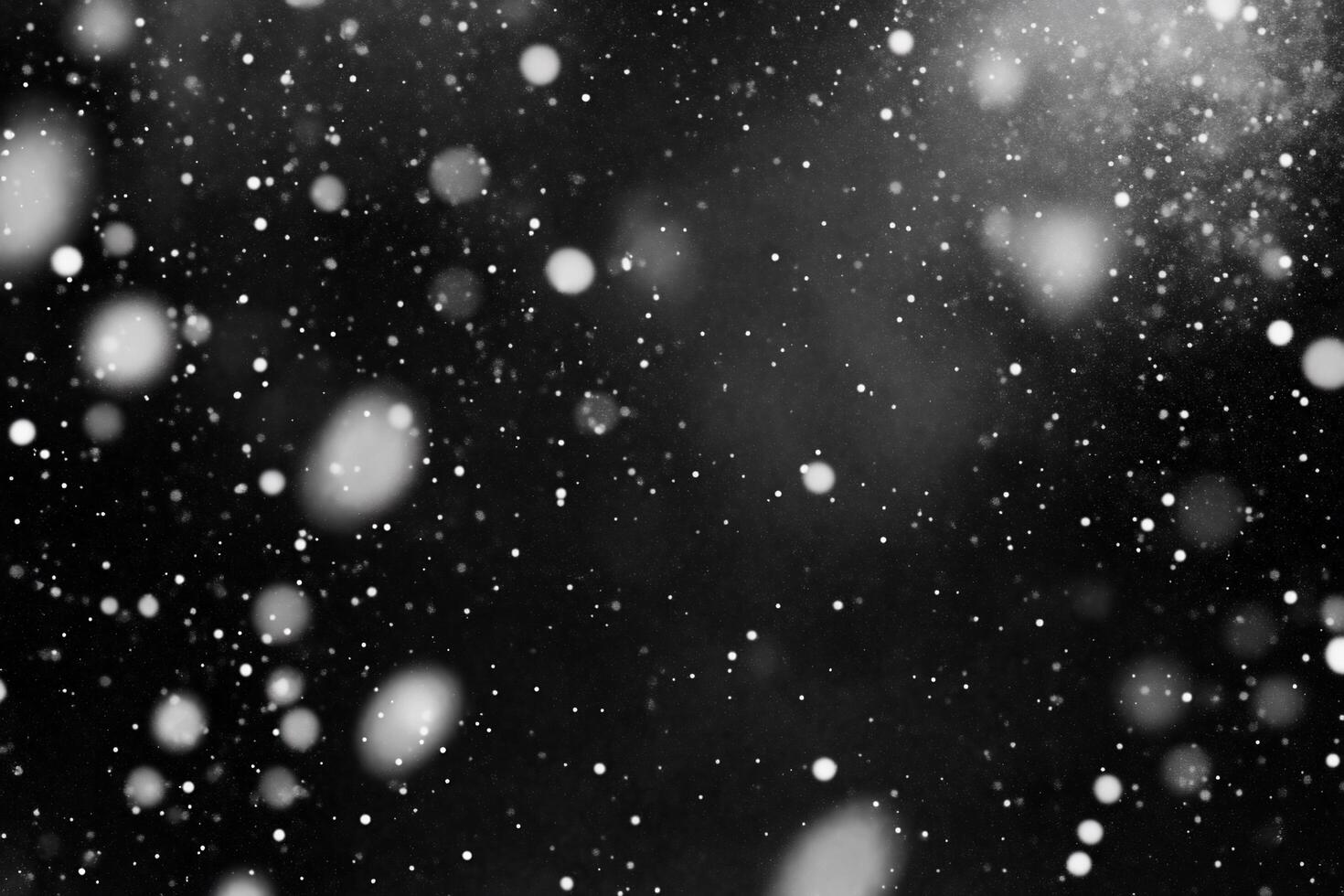 A monochrome background featuring floating particles resembling snow. photo