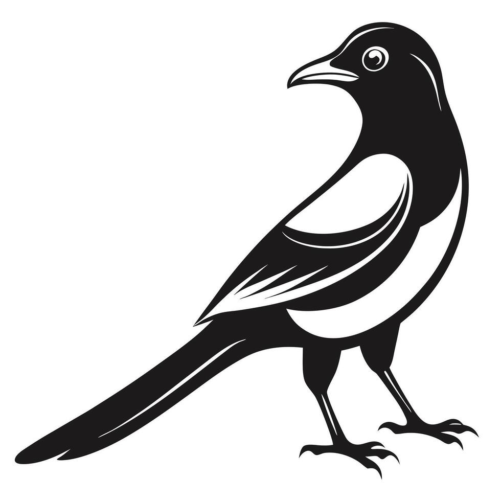 Magpie Silhouette Illustration Featuring Detailed Feather Design And Bird Anatomy vector