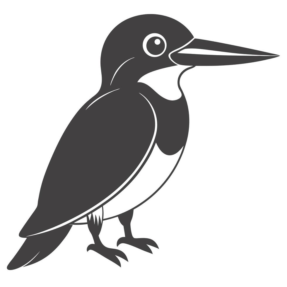 Belted Kingfisher Bird Illustration With Graphic Silhouette And Isolated Design vector