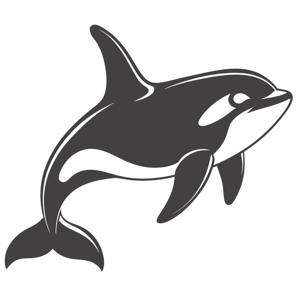 Monochrome Illustration Of A Majestic Killer Whale Leaping Through The Ocean vector