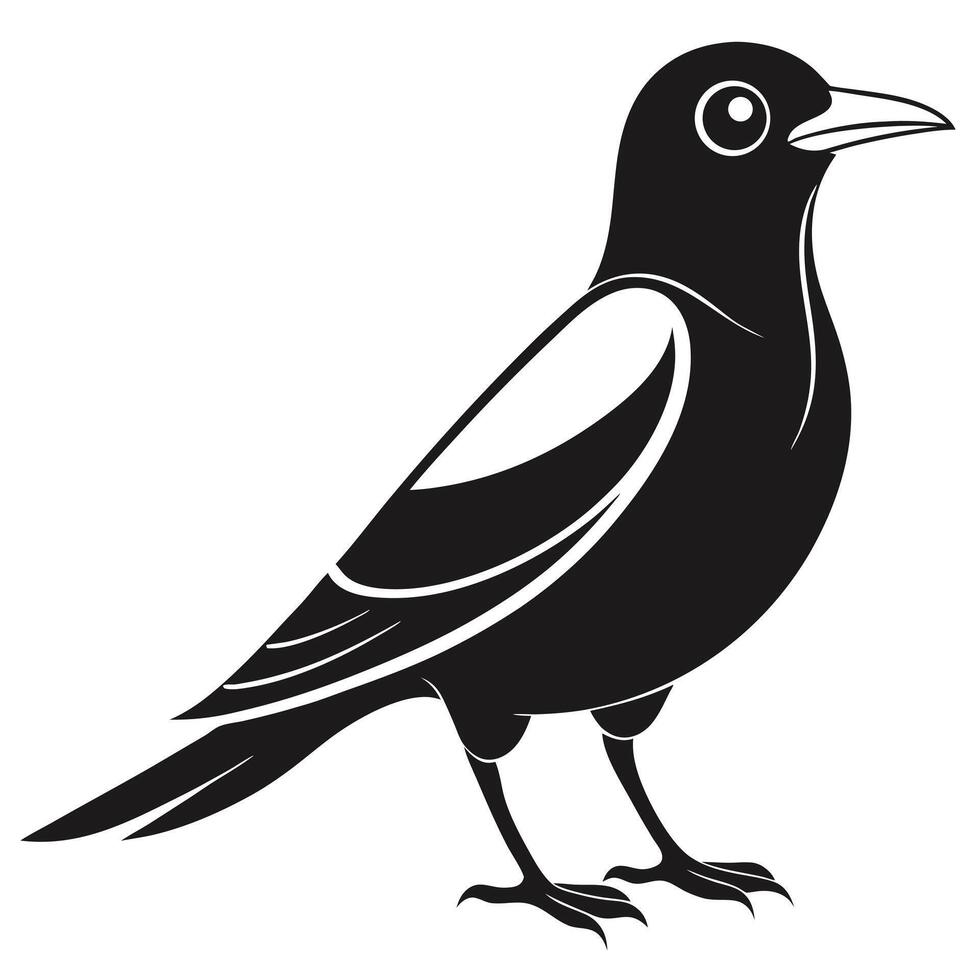 Black And White Graphic Illustration Of A Standing Magpie Bird vector
