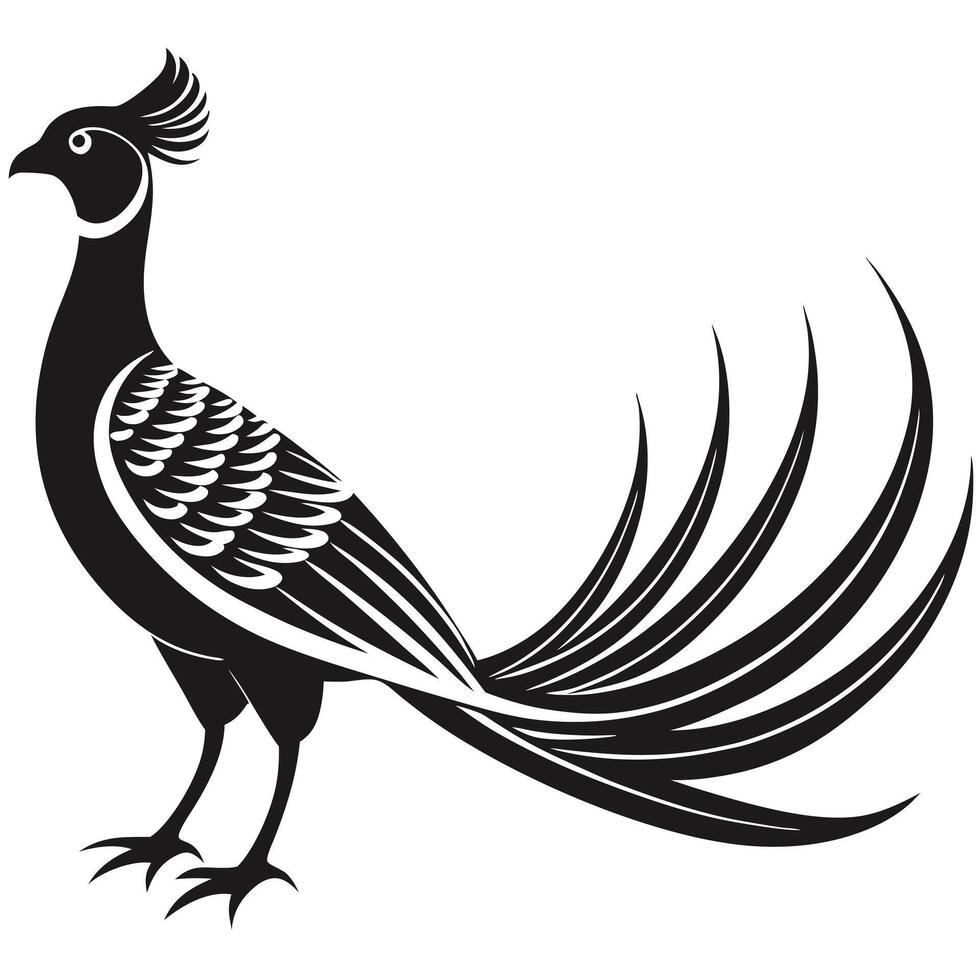Elegant Black And White Pheasant Illustration Exotic Bird Decorative Design Graphic vector