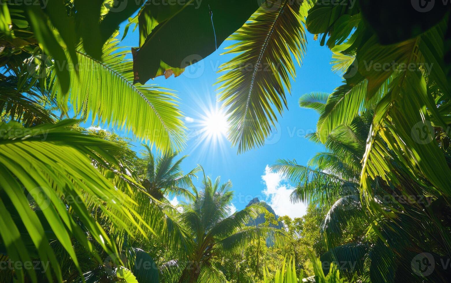Vibrant sunlight filters through the dense canopy of a lush tropical jungle filled with vibrant green foliage photo