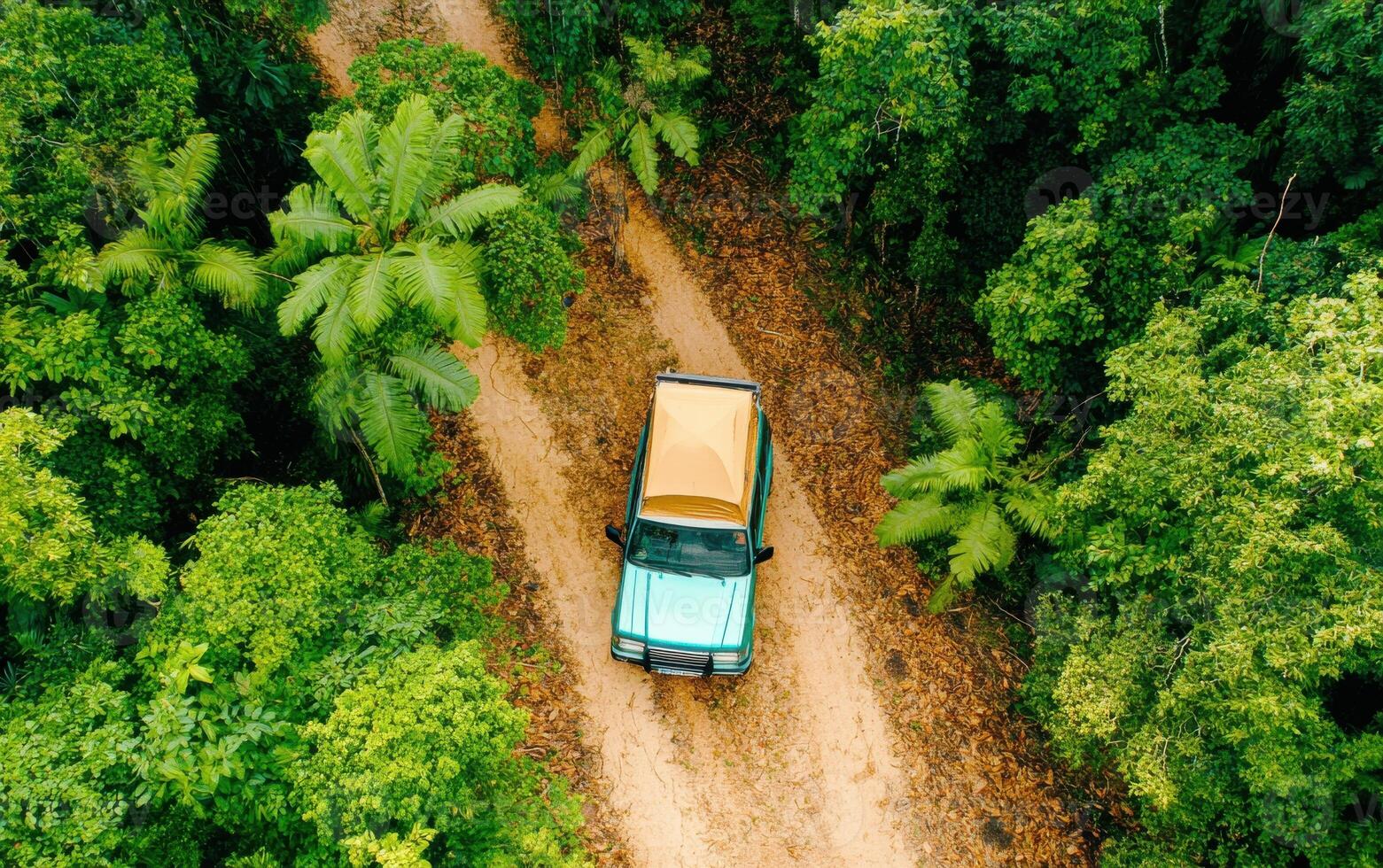 Small off-road vehicle with rooftop tent parked on a forest trail during daytime in a lush green environment photo