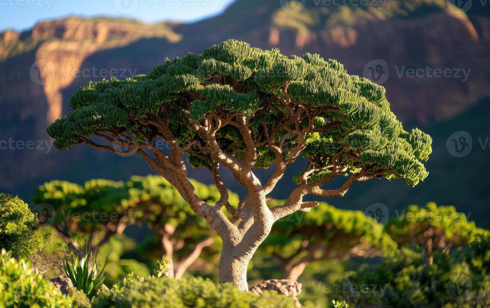 Majestic grove of tree-like formations set against a stunning backdrop of mountains and clear blue skies at golden hour photo