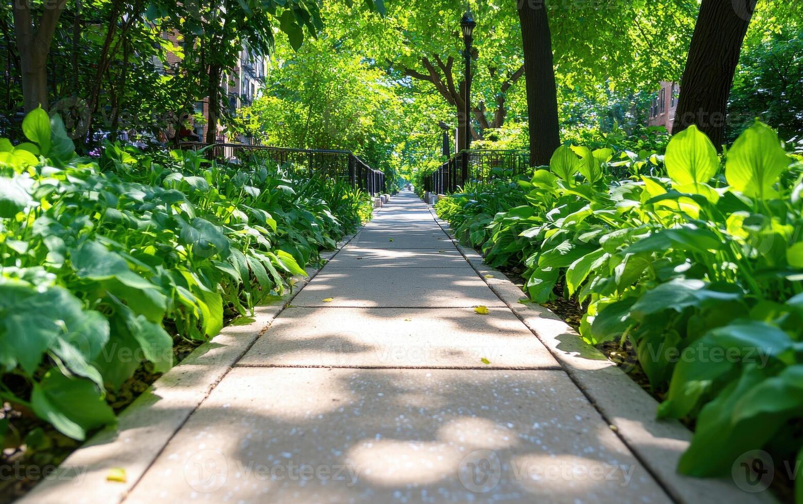 Pathway adorned with wild plants and creeping vines in a lush urban environment during daylight hours photo