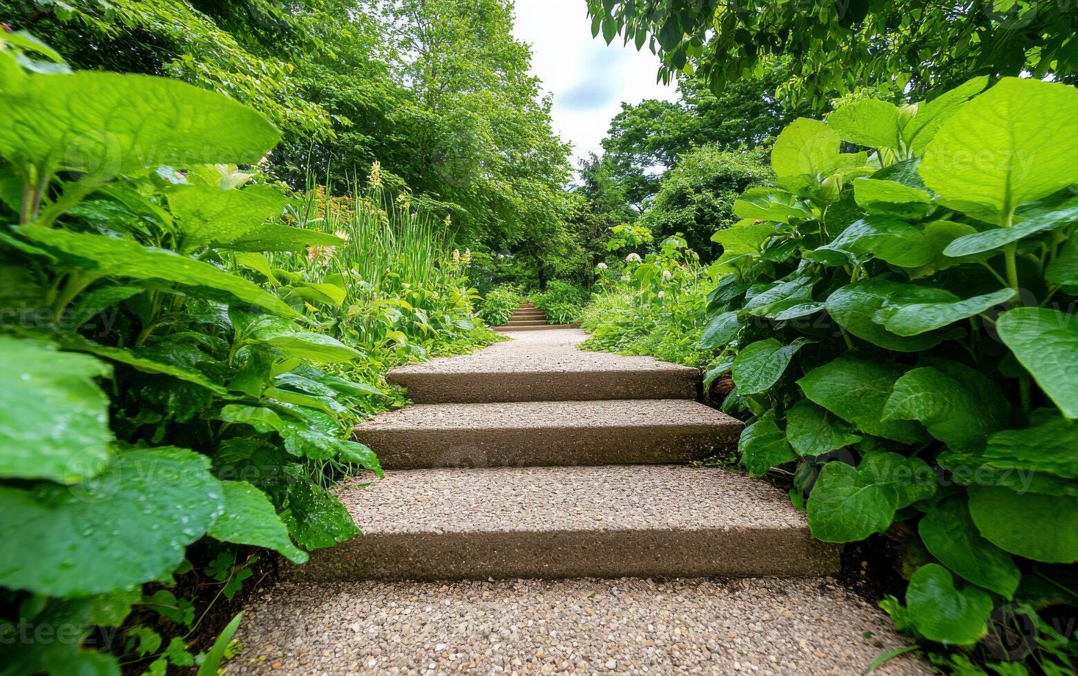 Untamed greens welcome visitors to a wild garden pathway surrounded by lush foliage and vibrant growth photo