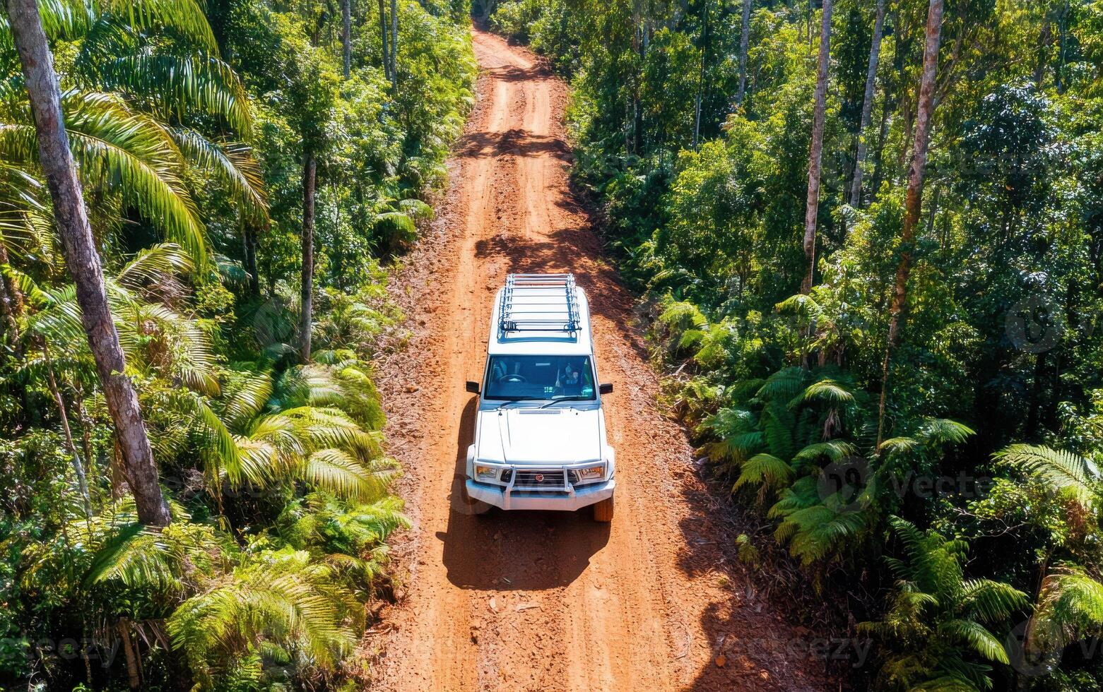 Off-roading adventure through a dense forest trail on a sunny day surrounded by lush greenery photo