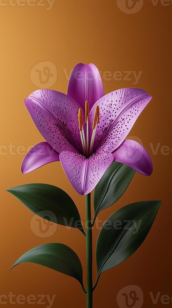 Single purple lily flower with green leaves against a gradient orange background photo