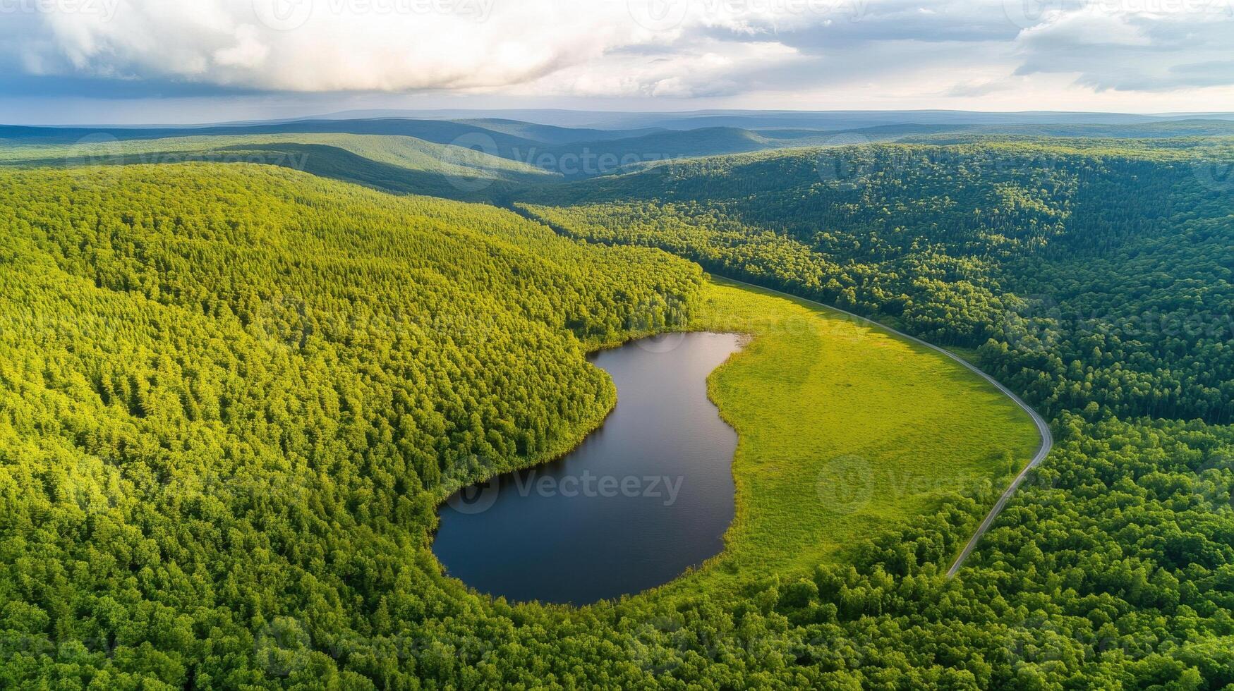 Aerial view of serene forest lake amid dense greenery with curved shore path photo