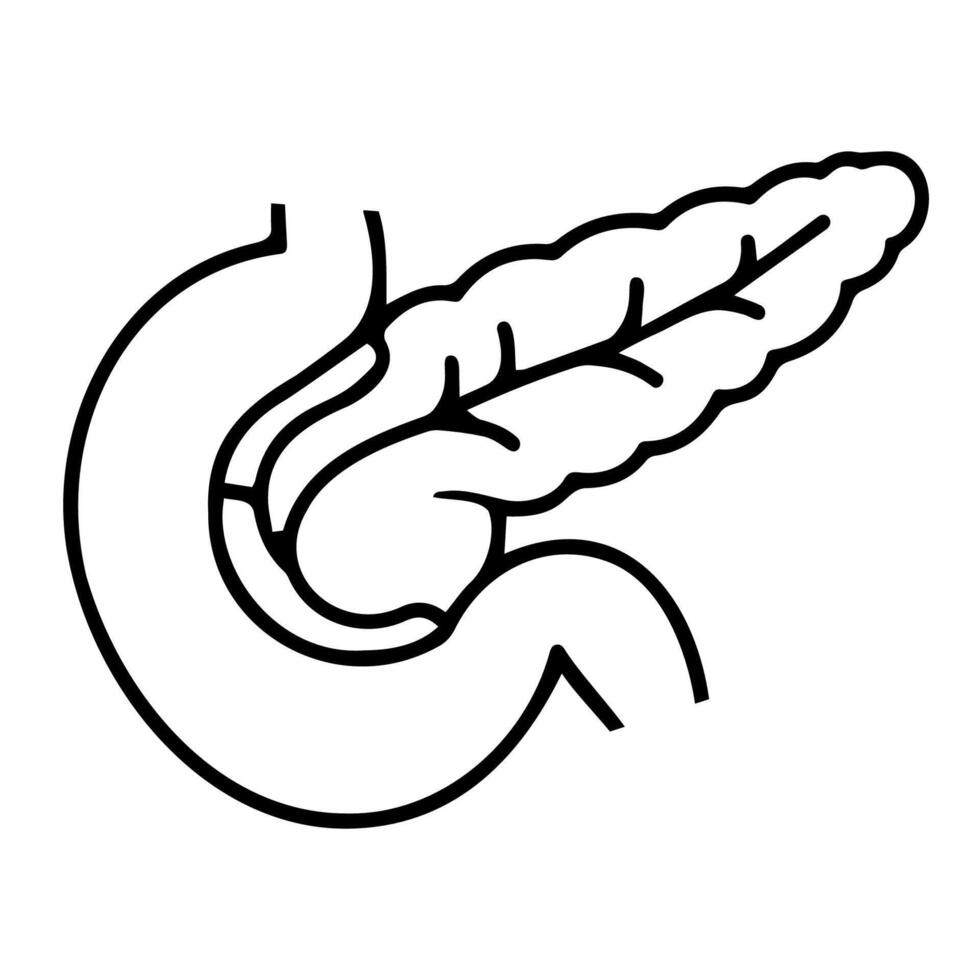Line Art Human Stomach and Pancreas Icon Medical Illustration vector