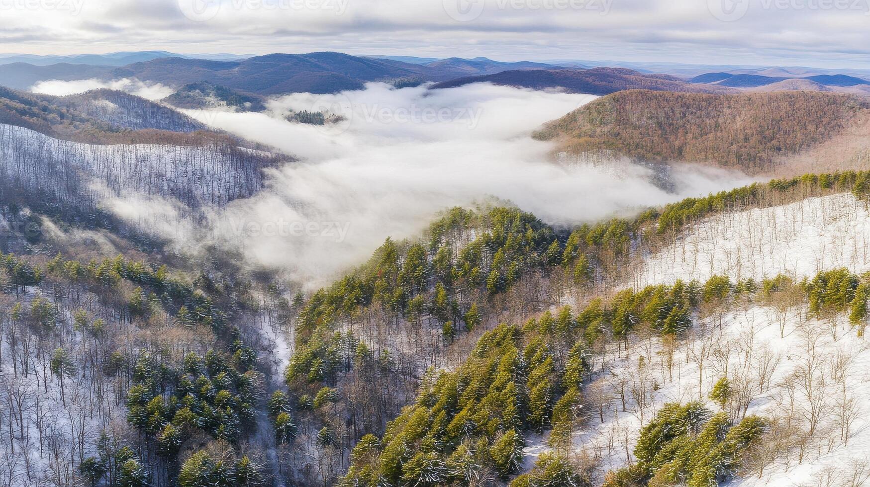 Aerial view of misty mountain range with snow-covered forest photo