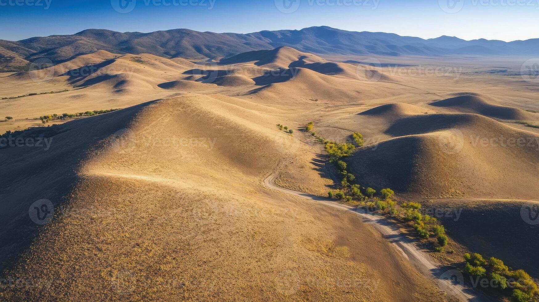 Aerial view of rolling desert hills with tree-lined pathway in vast landscape photo