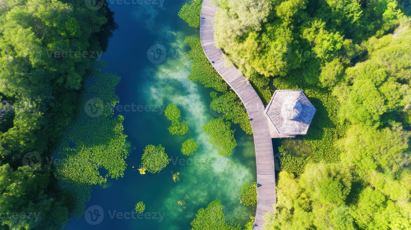 Aerial view of a wooden pathway overlooking a serene green lake with lush vegetation photo