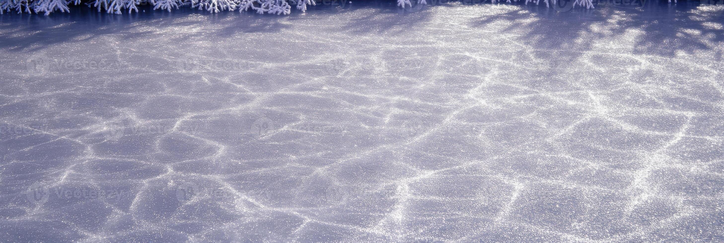Frozen ice surface with cracks under snowy trees on a winter day photo
