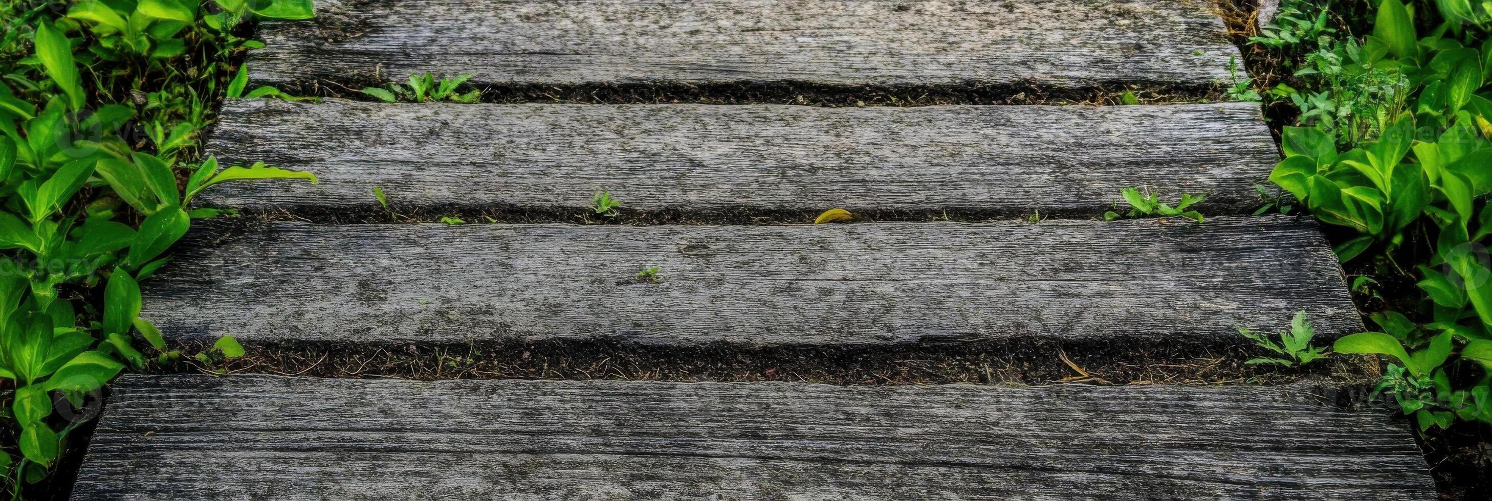 Rustic wooden garden pathway with greenery in natural outdoor setting photo