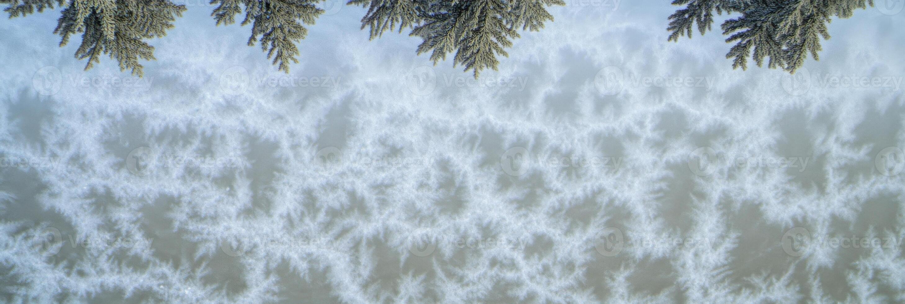 Winter frost patterns on frozen lake with snow-covered pine branches overhead photo