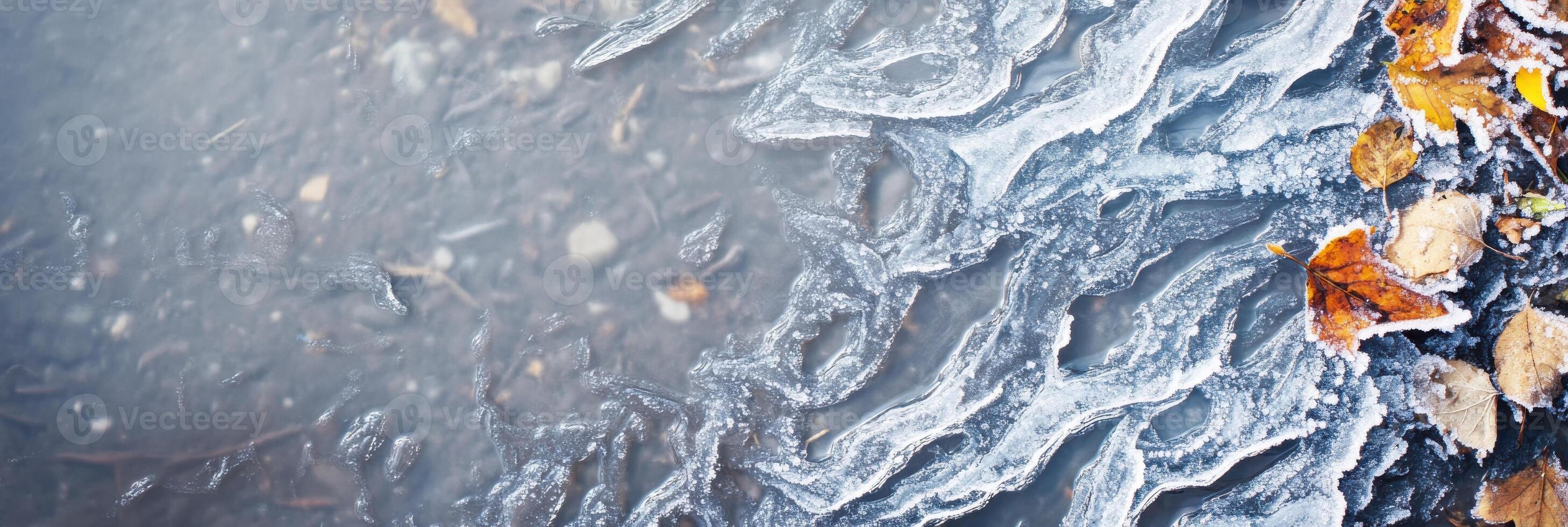 Close-up of frosted autumn leaves and ice patterns on ground in nature photography photo