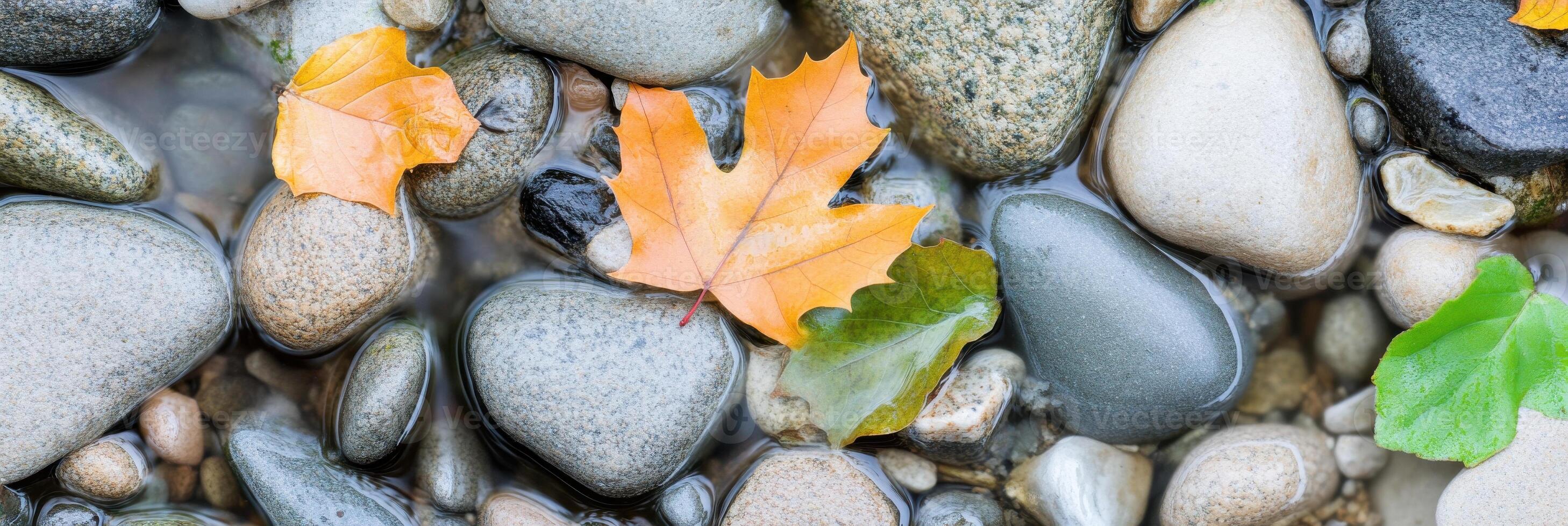 Autumn leaves and river stones creating a serene natural composition photo