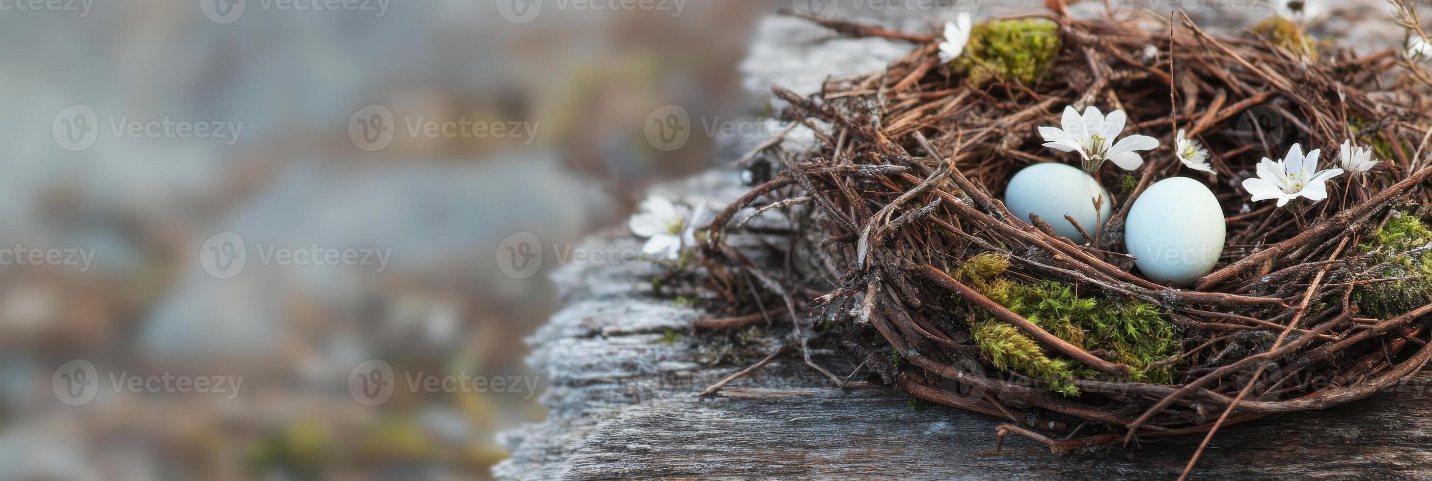 Bird nest with blue eggs and blossoming flowers on rustic wooden surface photo
